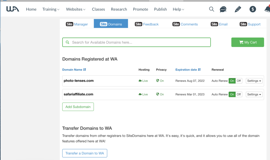 Wealthy Affiliate Domain Registration