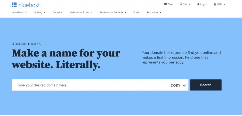 BlueHost Domain Checker: Choosing a Domain Name